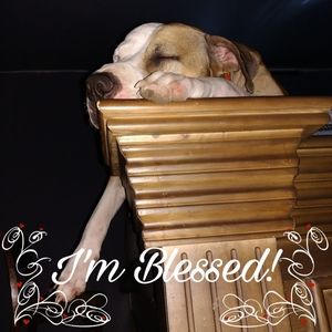 Meet your Posher, Nicki